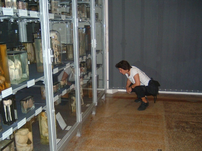 berlin0703_14.jpg (134069 Byte)