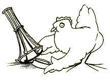 chicken.gif (9174 Byte)