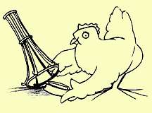 chicken.jpg (14285 Byte)