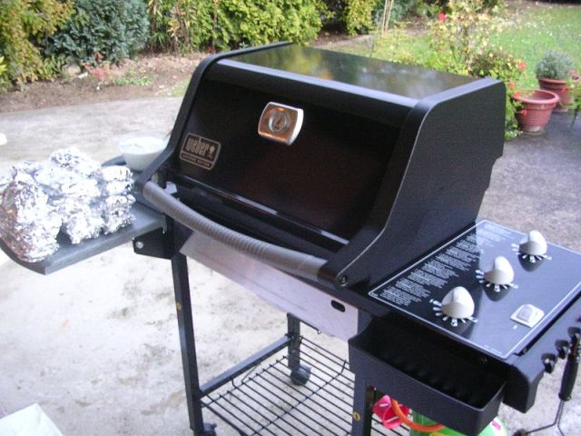 ribs5.jpg (60334 Byte)