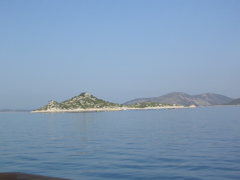 tauchen1.jpg (79780 Byte)