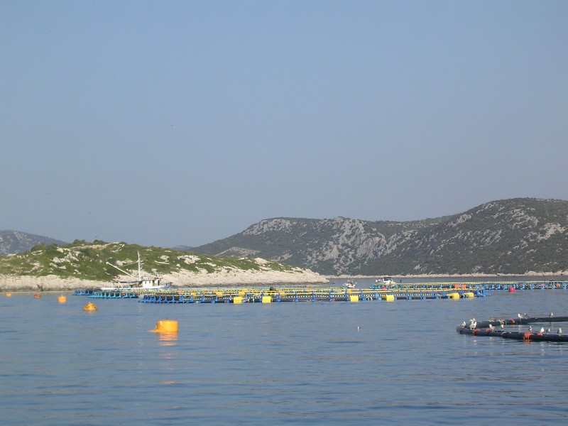 tauchen3.jpg (81338 Byte)