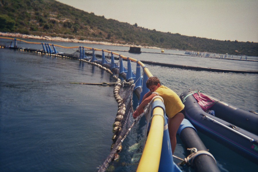 tauchen5.jpg (90077 Byte)