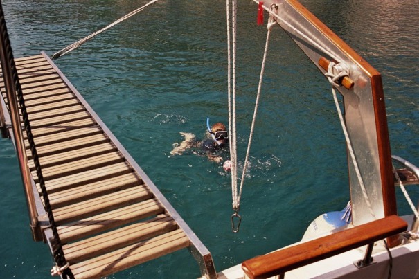 wpe1.jpg (98494 Byte)