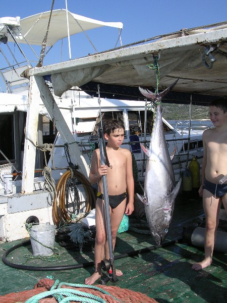 fisch2.jpg (107472 Byte)