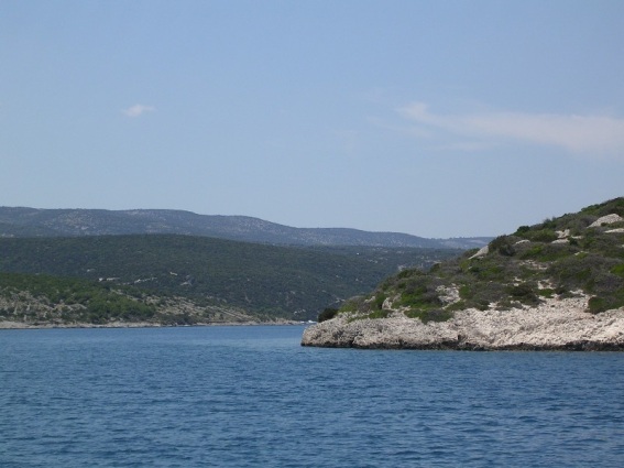 pipo0.jpg (60680 Byte)