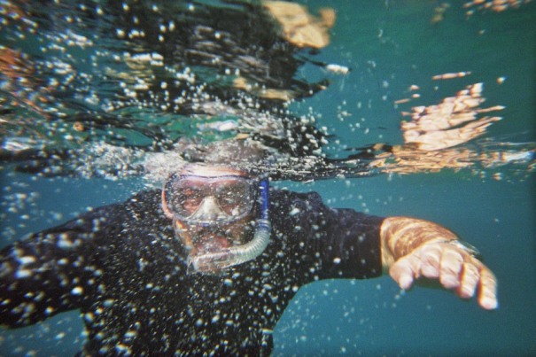 pokri5.jpg (108746 Byte)