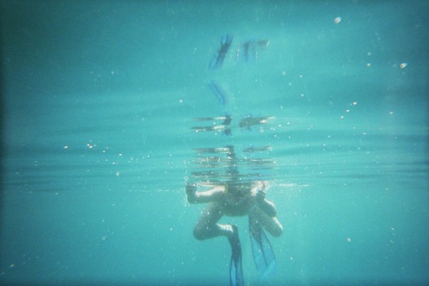 tauch6.jpg (44651 Byte)