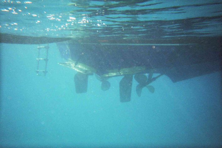 tauchen3.jpg (81338 Byte)