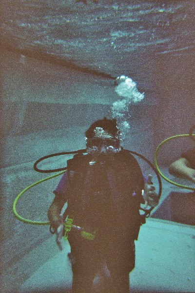 tauchen4.jpg (94178 Byte)